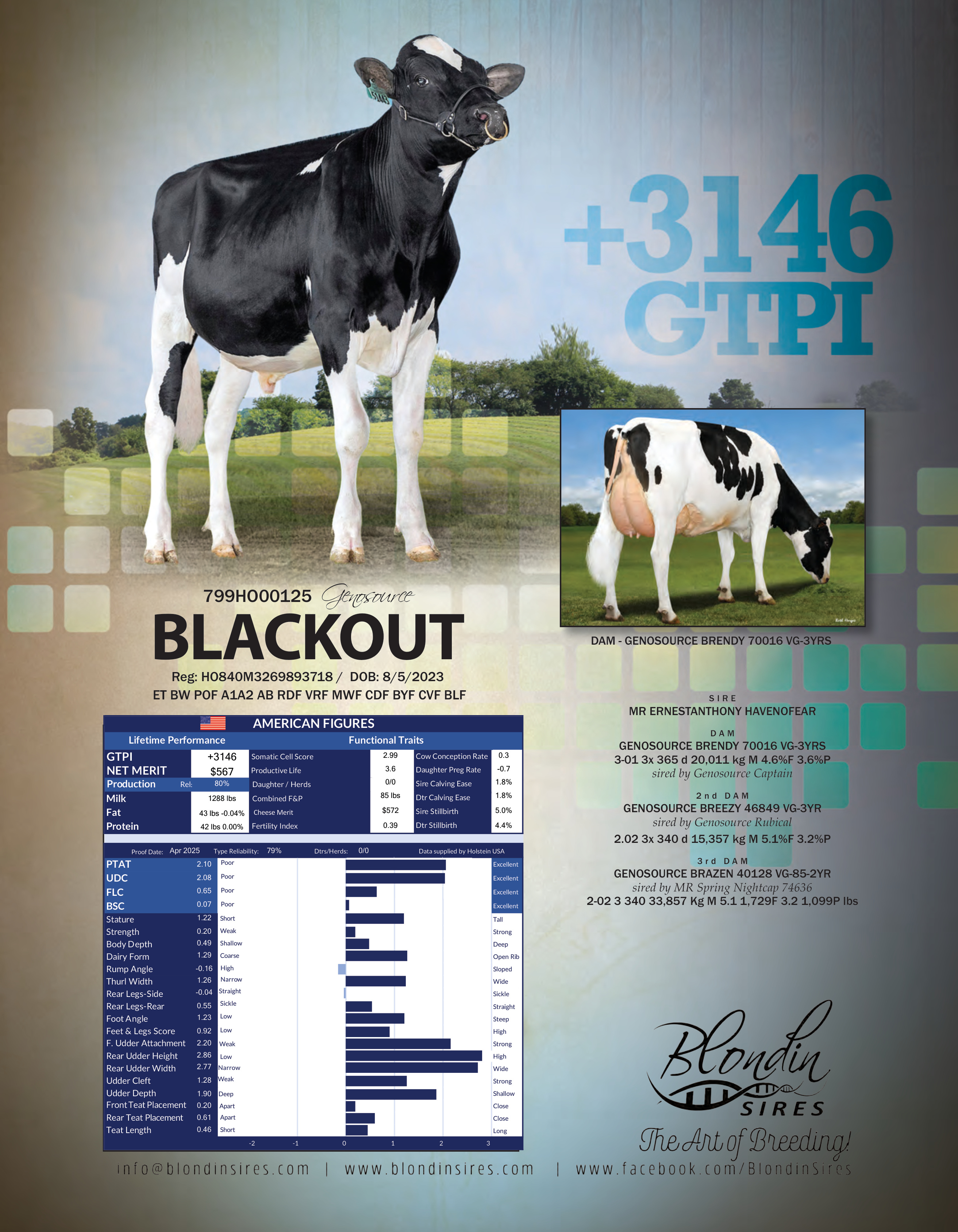 BLACK OUT — 799HO00125